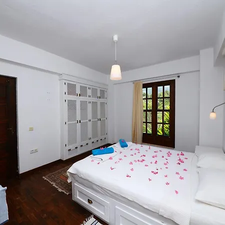 Villa Koknar